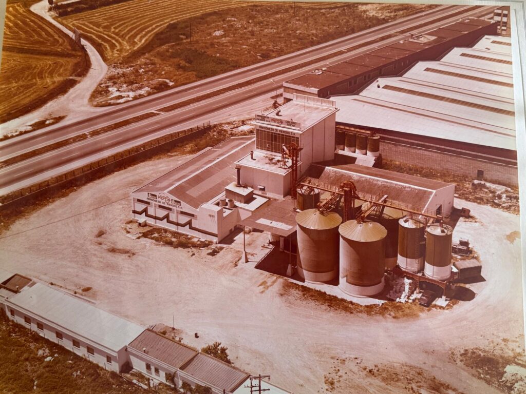 Historia Arpisa 1977