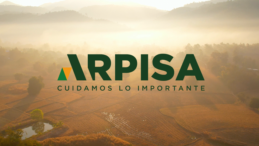 Historia Arpisa 1998