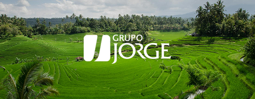 Historia Arpisa 2024