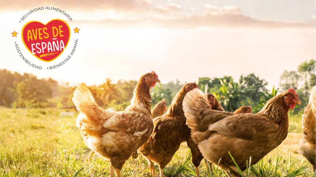 ARPISA forma parte del programa “Aves de España”